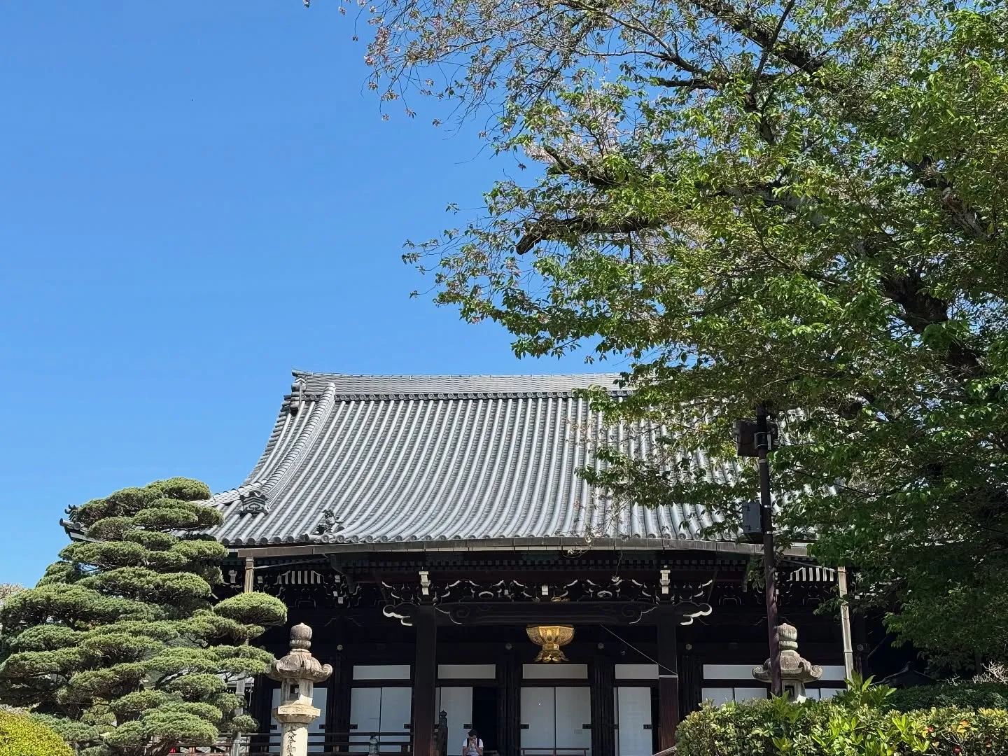 本願寺は良いお天気😊