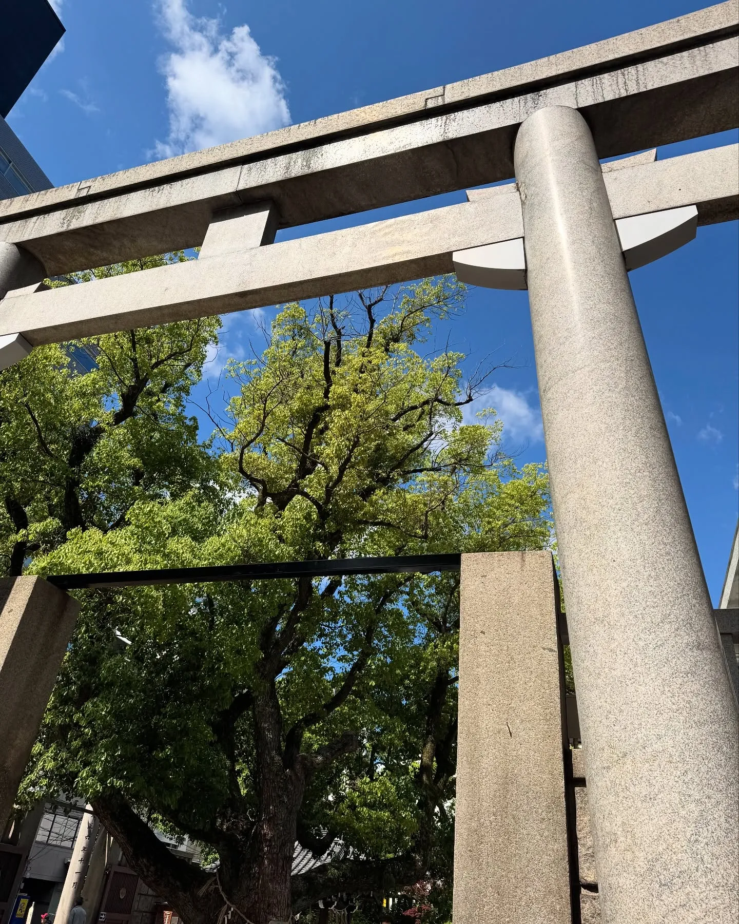 今日は『難波神社』のイベントに出店❣️