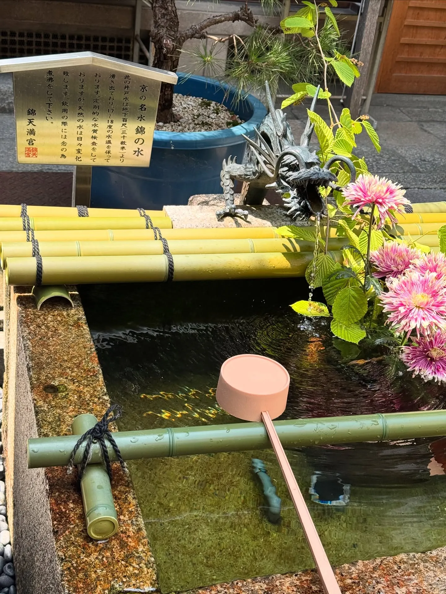 おはようございます😃