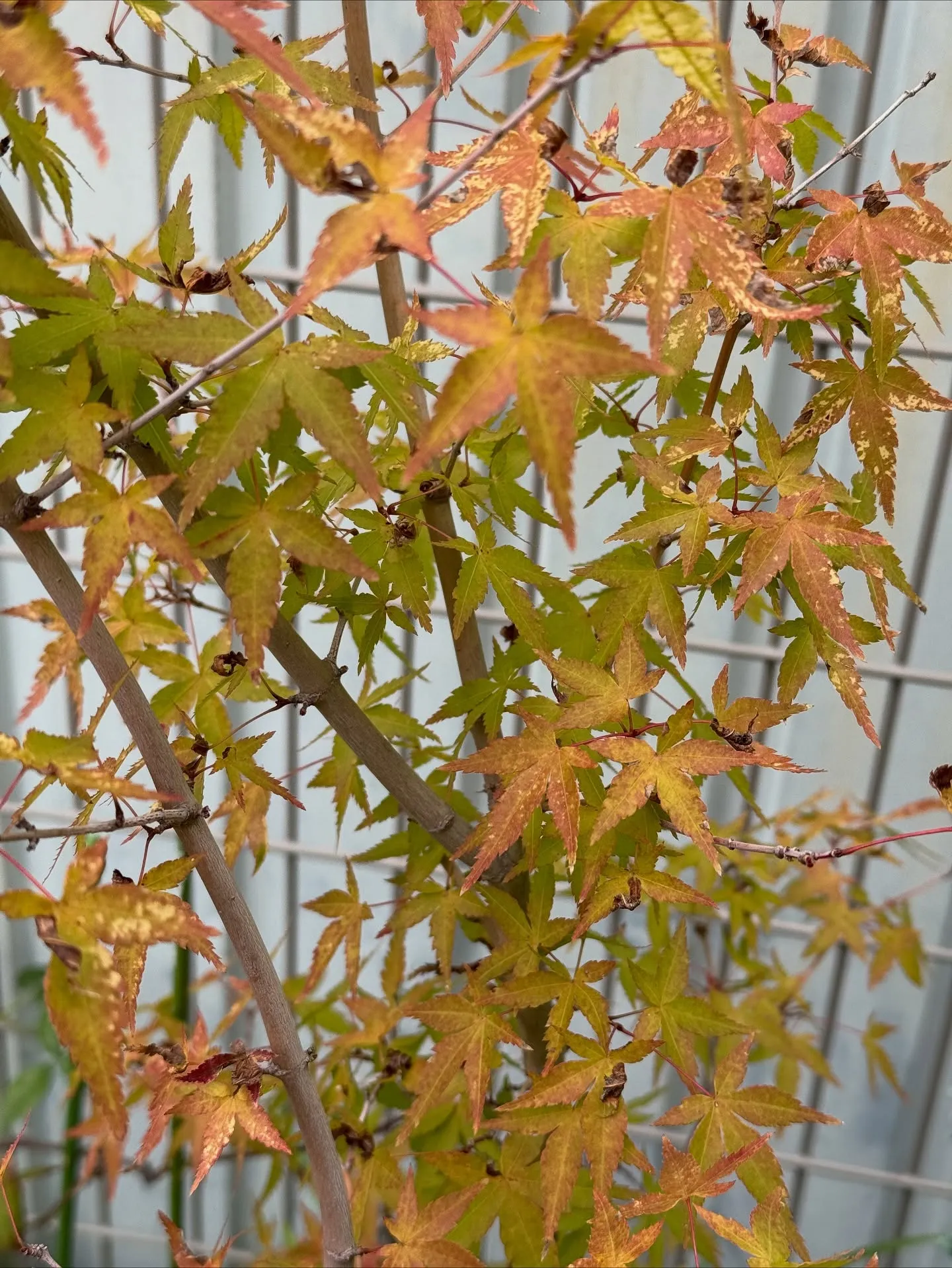 自分の気持ちでいいんですよ😊