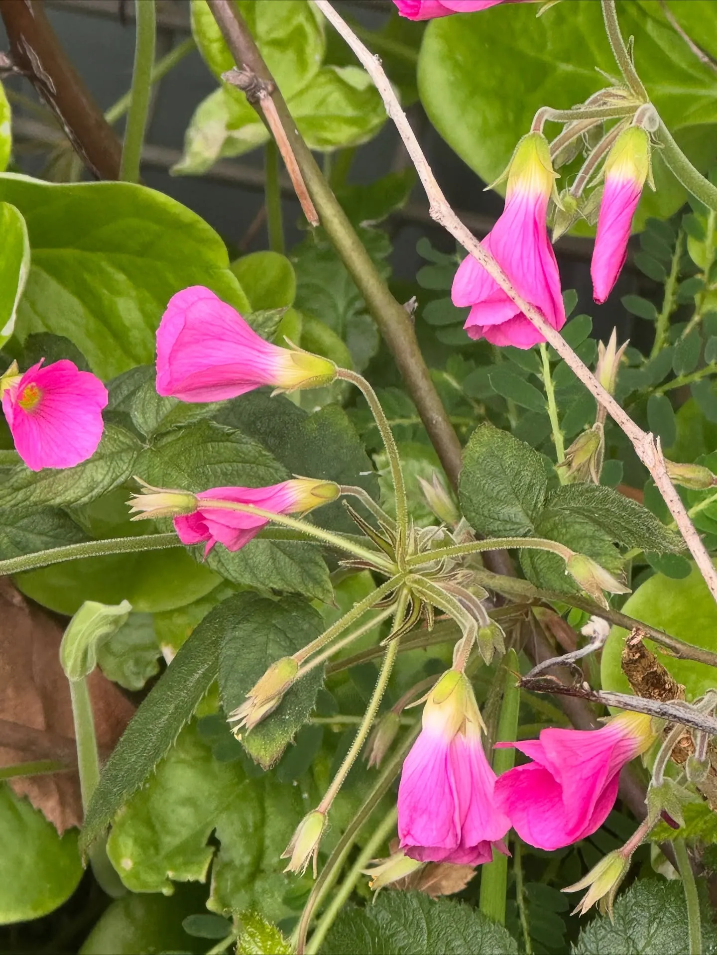 自分の気持ちでいいんですよ😊