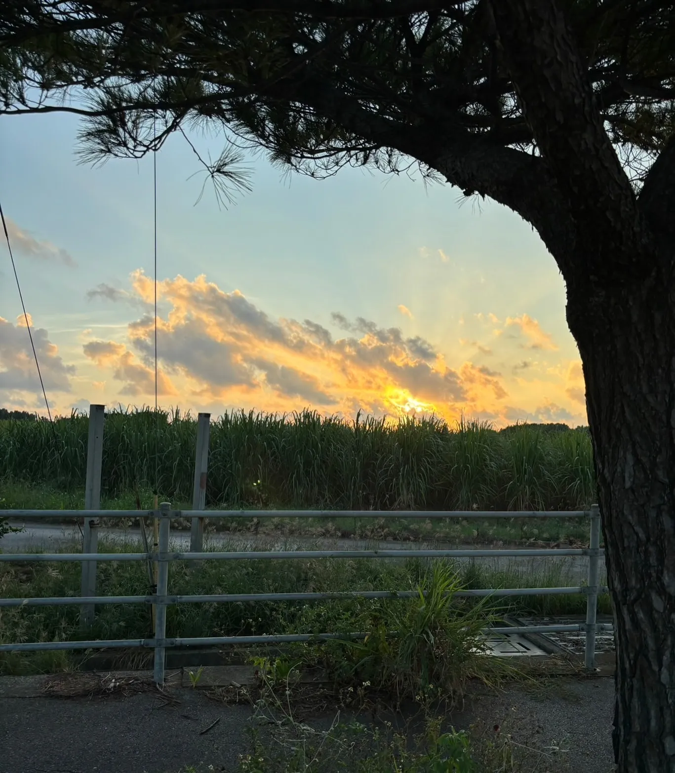 霊視は当てものではないですよ、