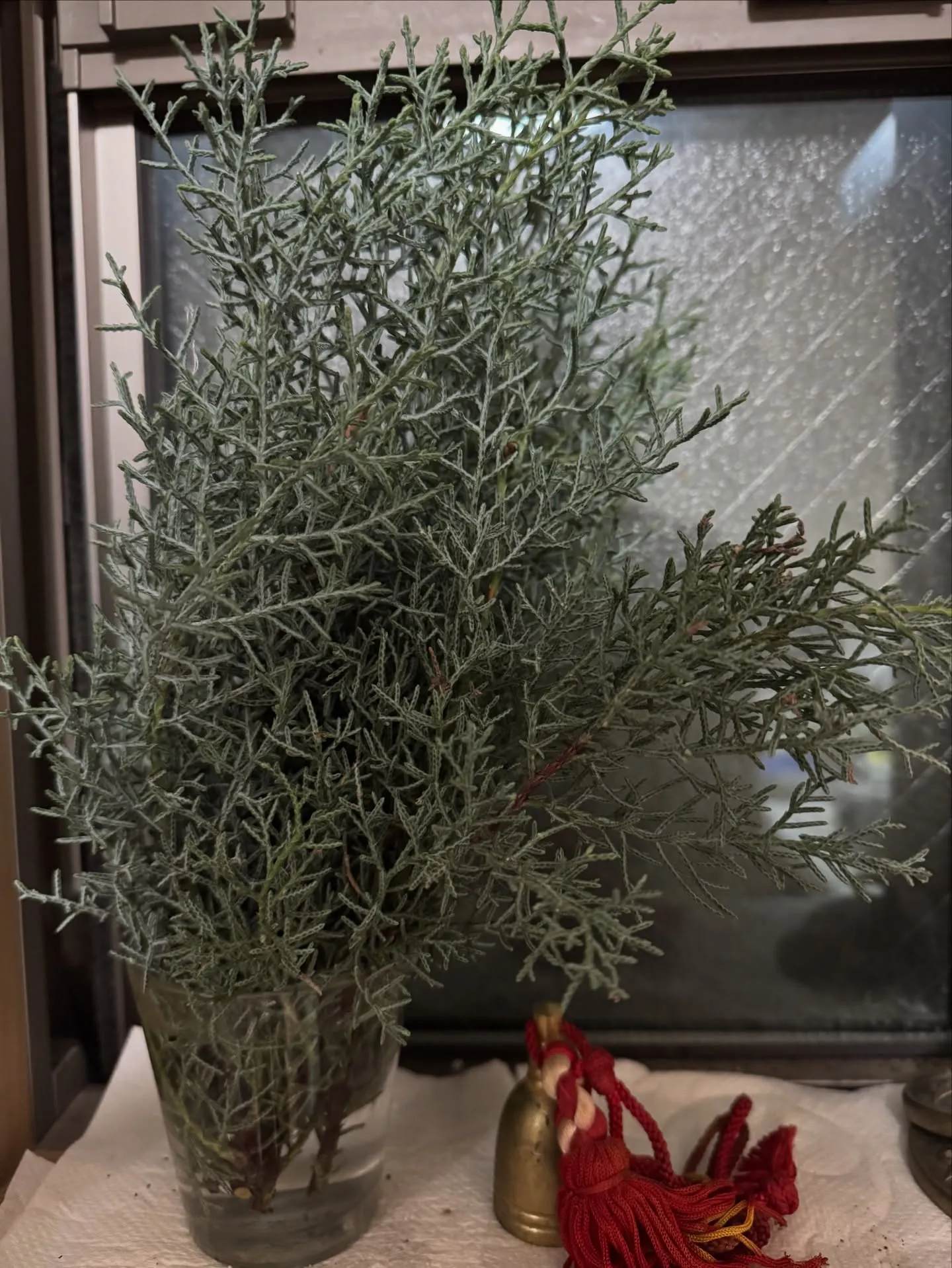 鑑定日について