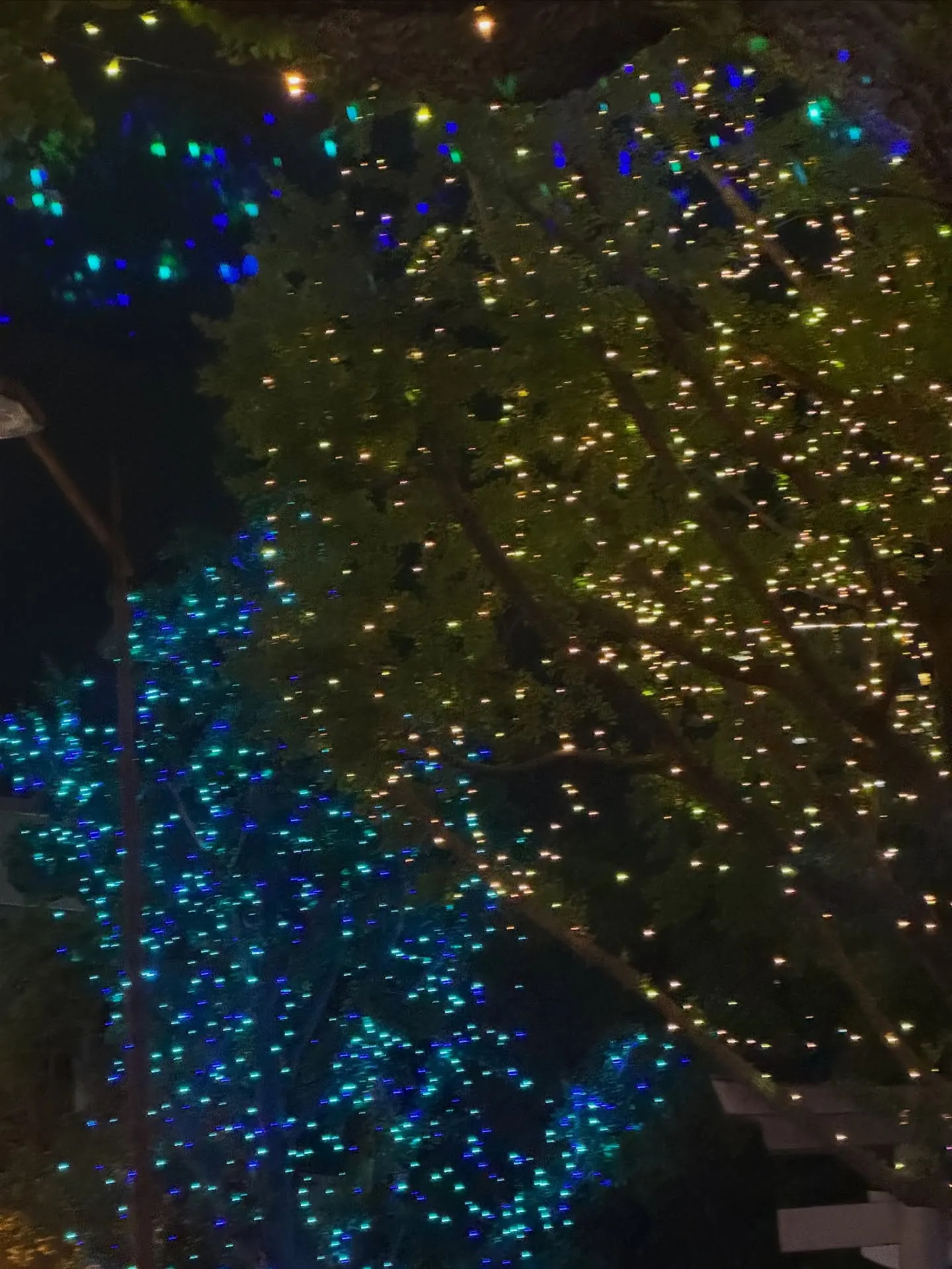 今日はクリスマスイブ🤶