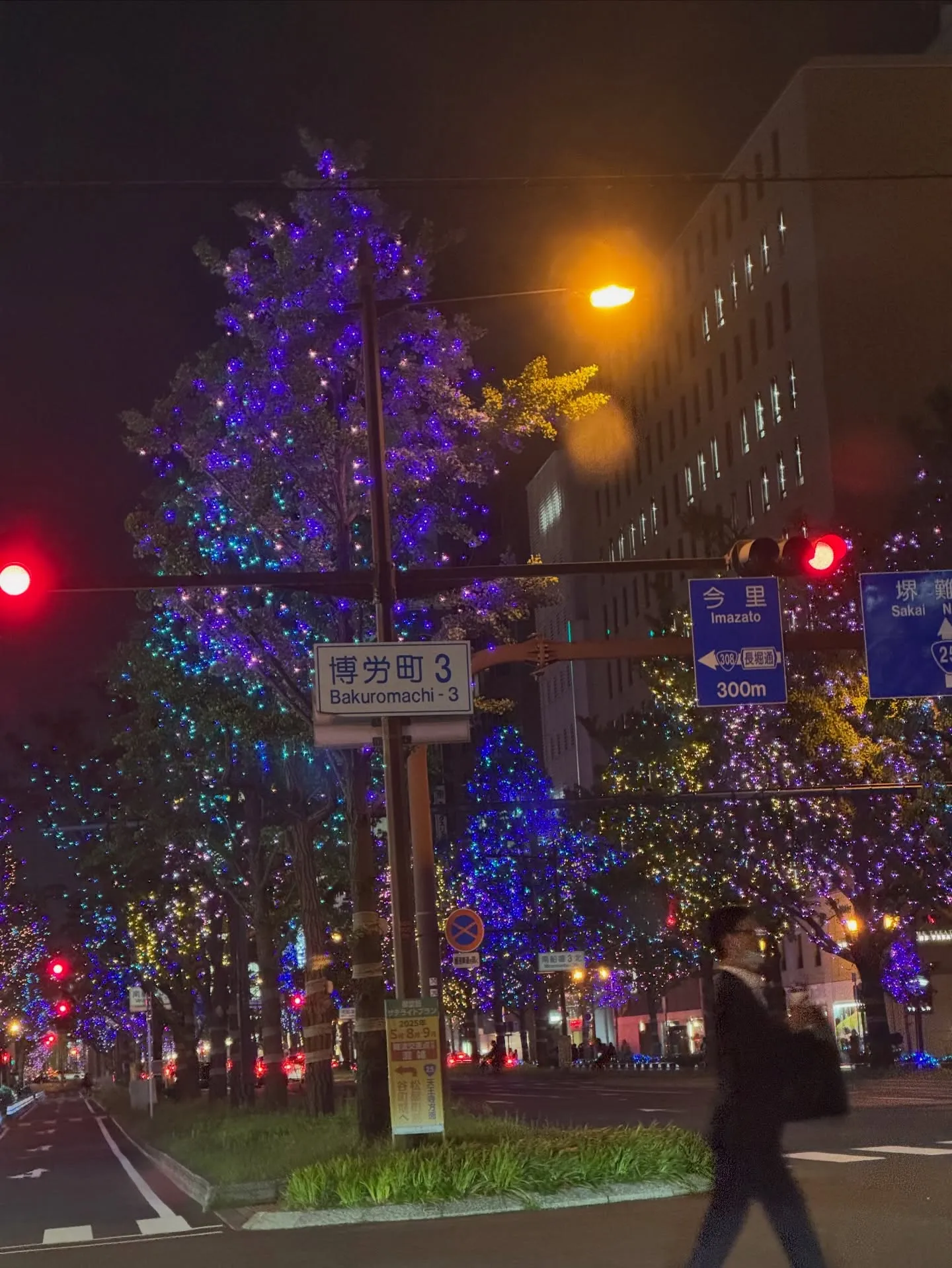 今日はクリスマスイブ🤶