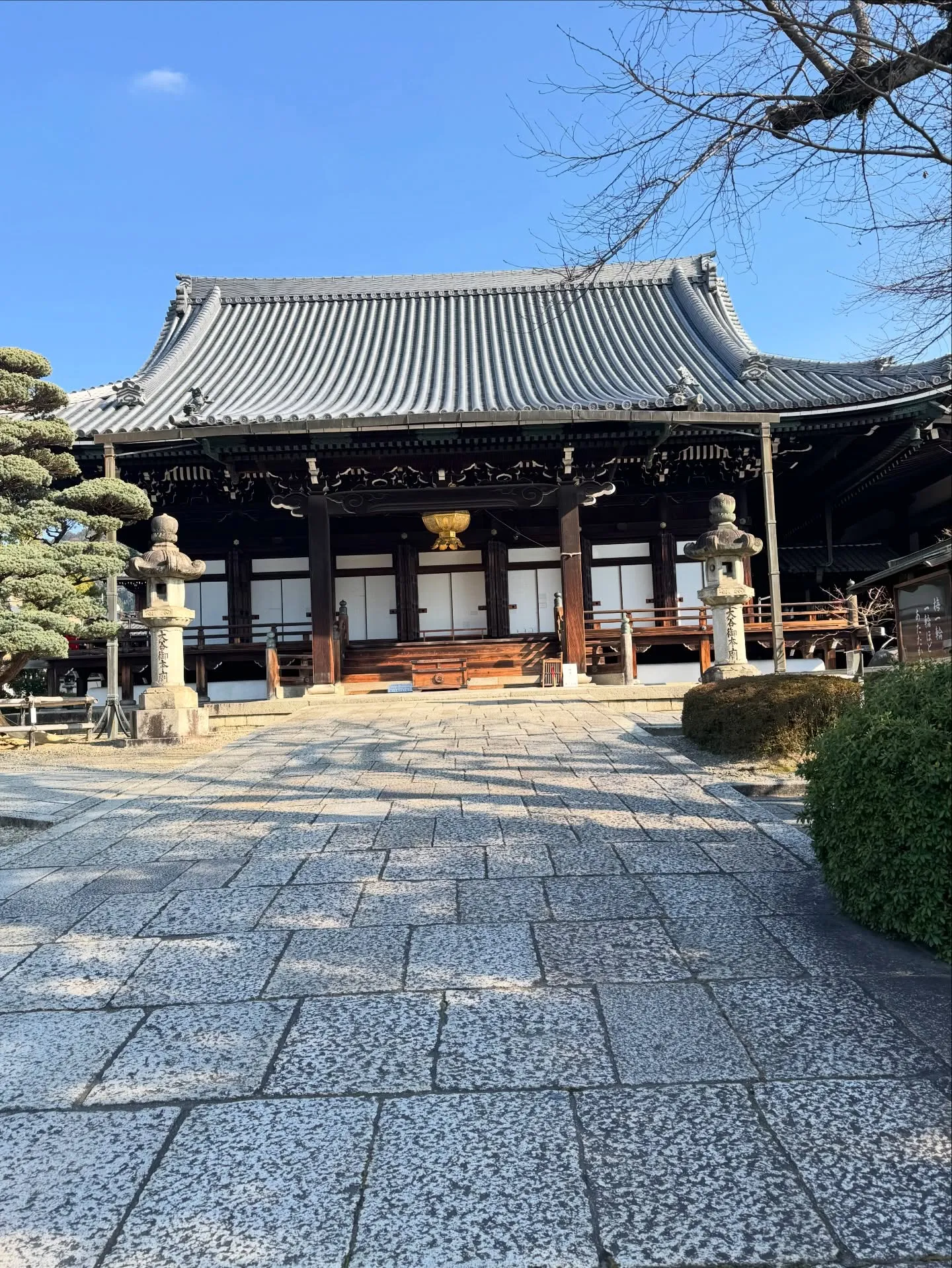 ご先祖様に感謝しましょう🙏