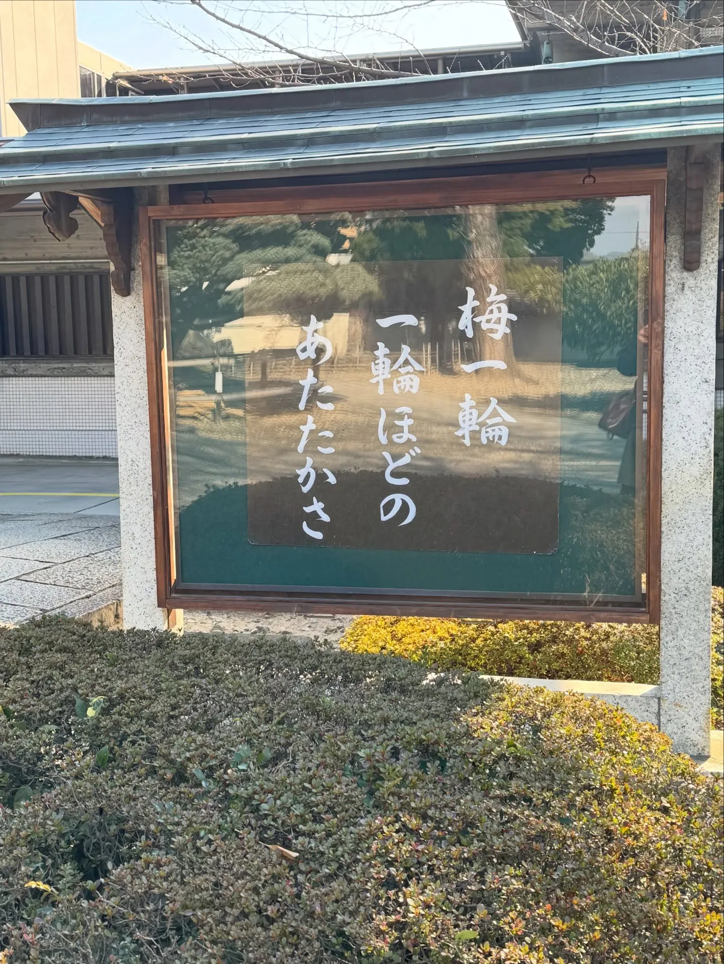 ご先祖様に感謝しましょう🙏