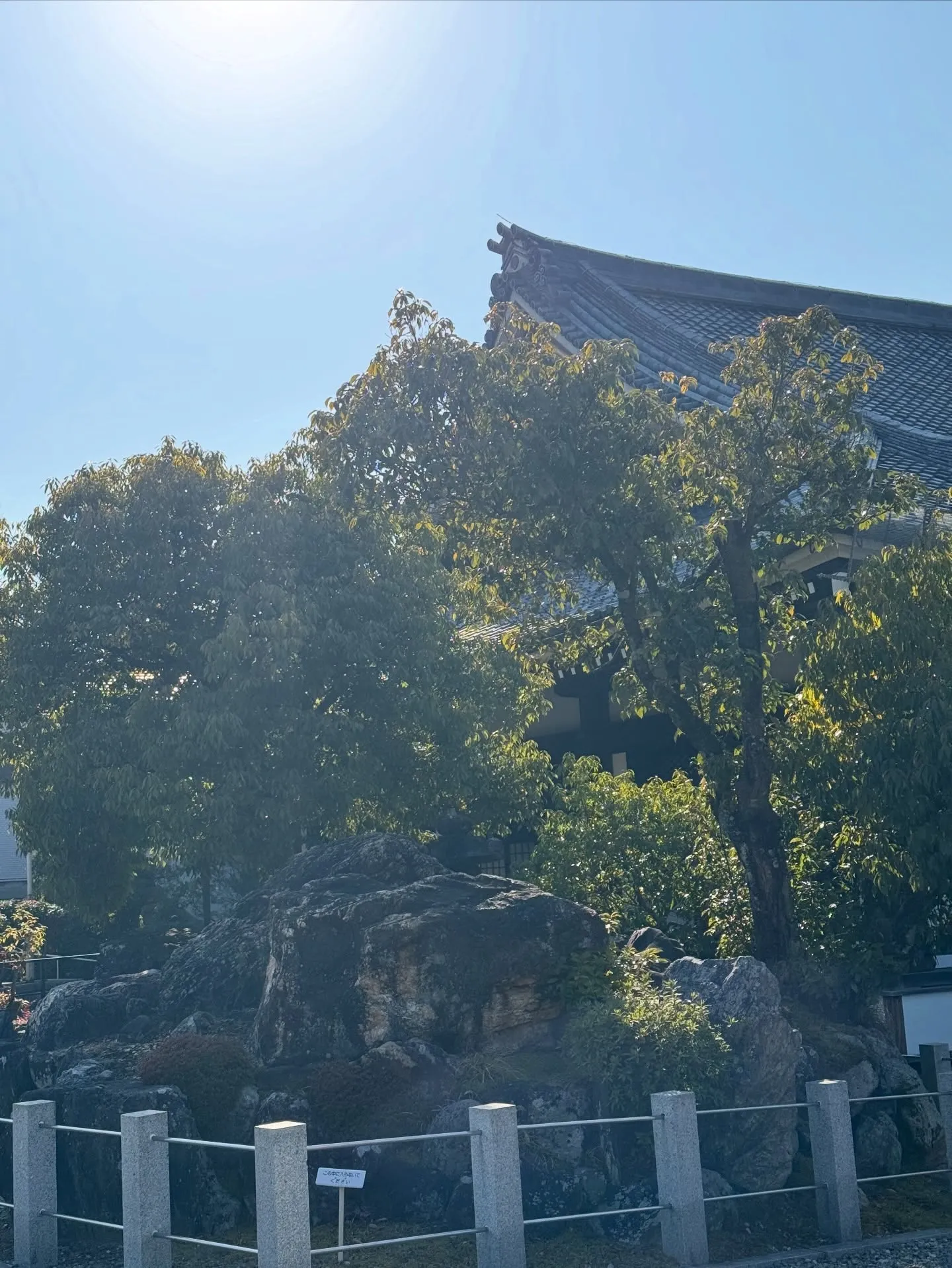 ご先祖様に感謝しましょう🙏