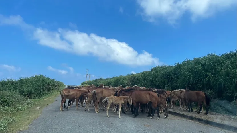 やっと会えました😭ご来店ありがとうございます😊