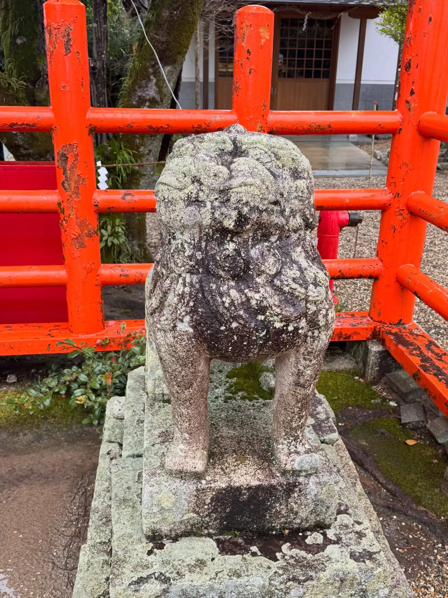 龍田大社参拝😃