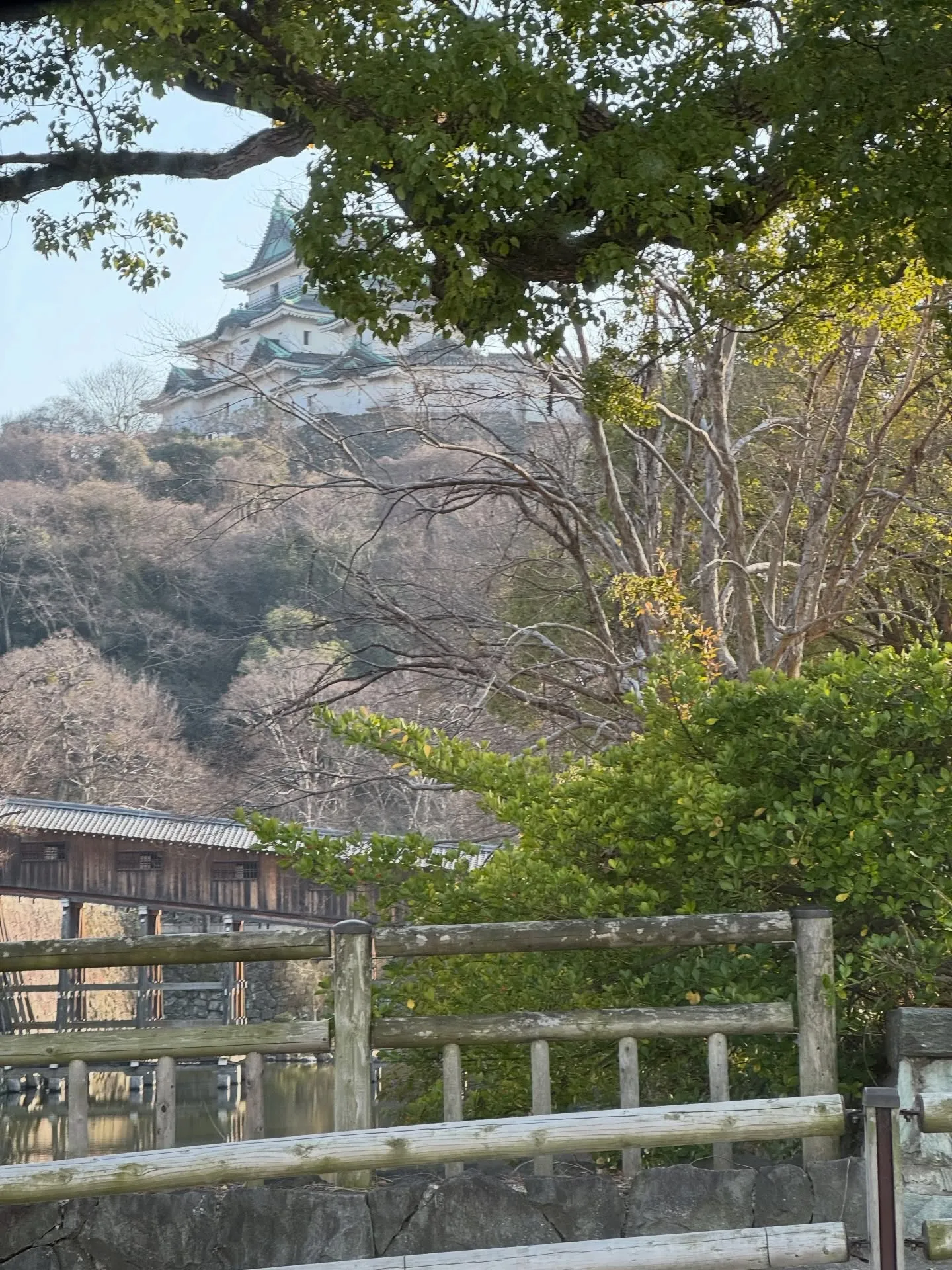 和歌山多賀神社