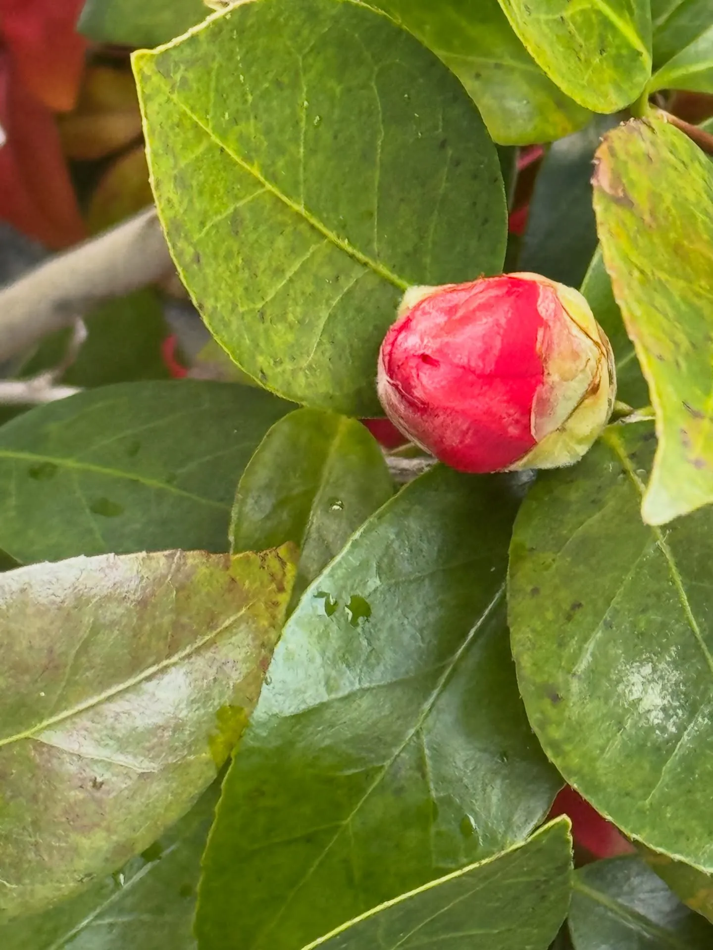 ご来店ありがとうございました😊