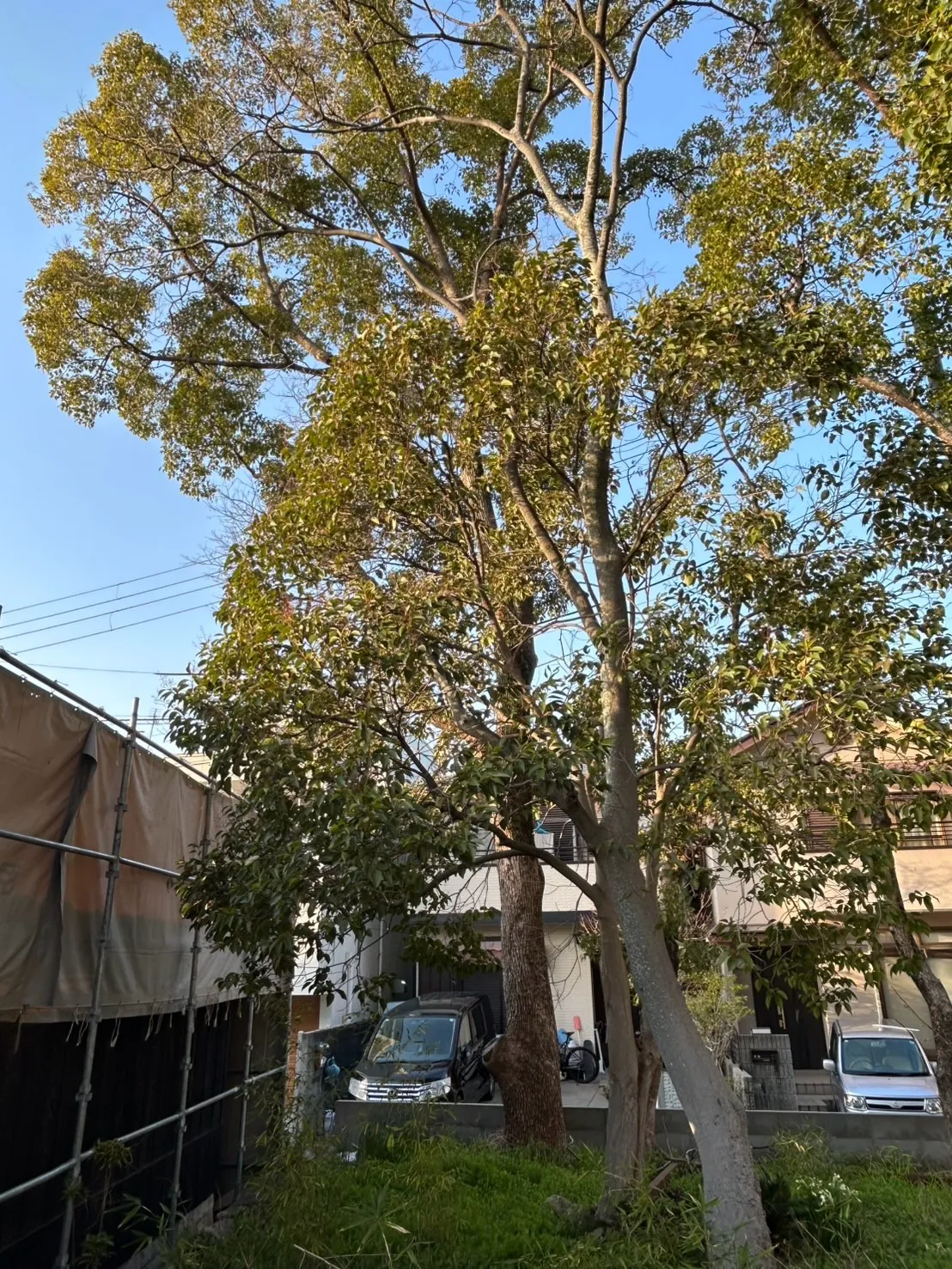 お願いがあります🙏