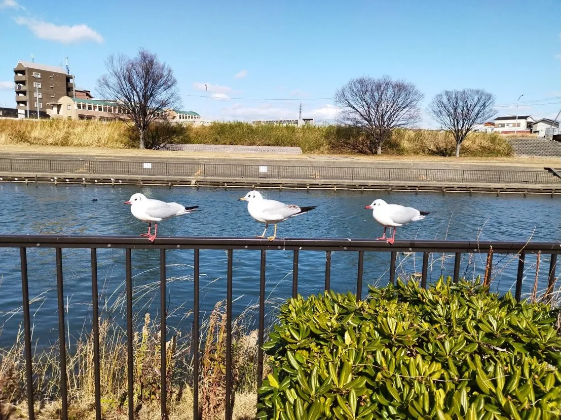 誕生日メッセージをありがとう