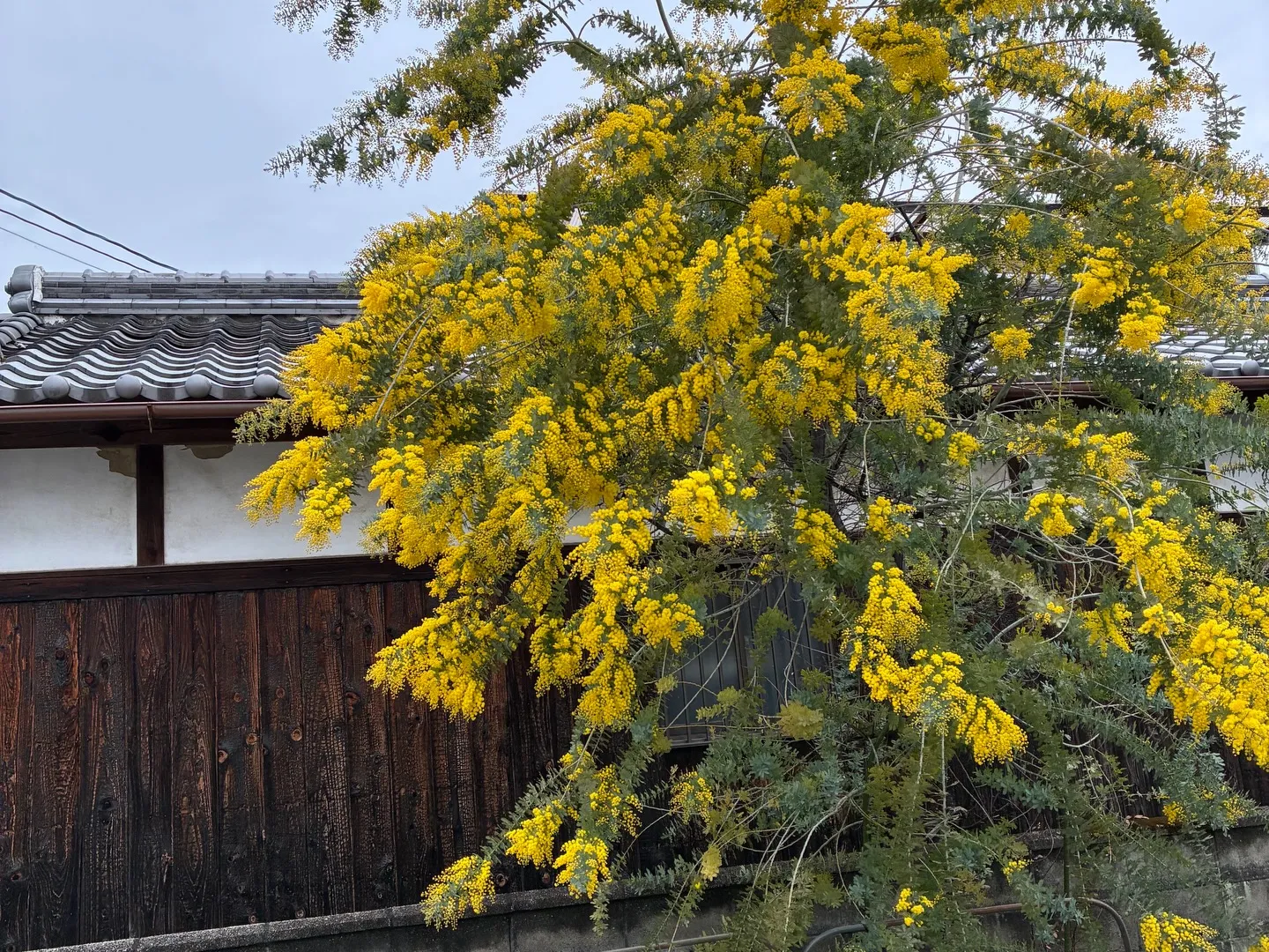 誕生日メッセージをありがとう