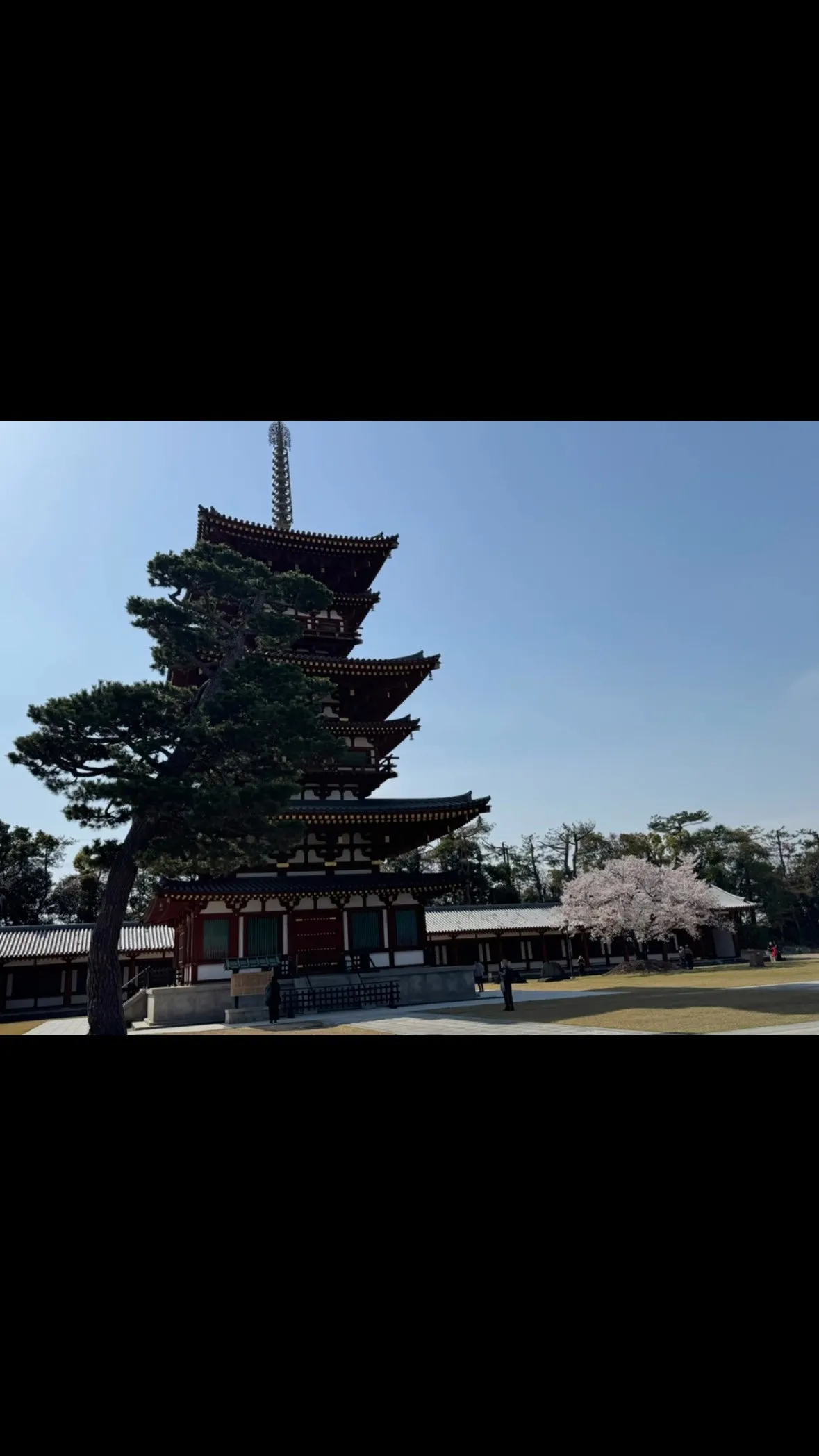 薬師寺写経ツアー楽しかった😊