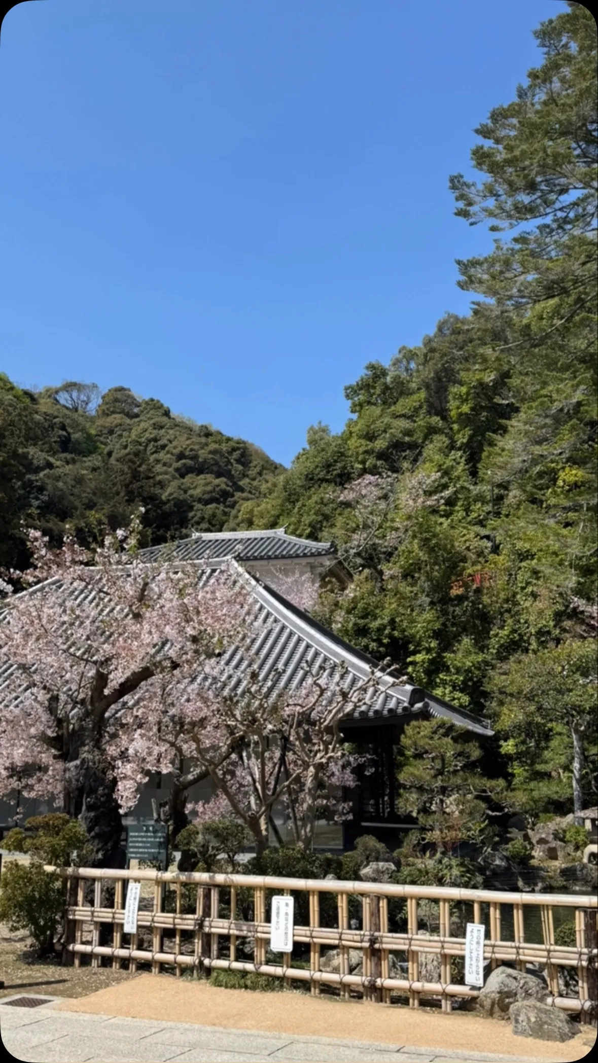 清荒神清澄寺参拝