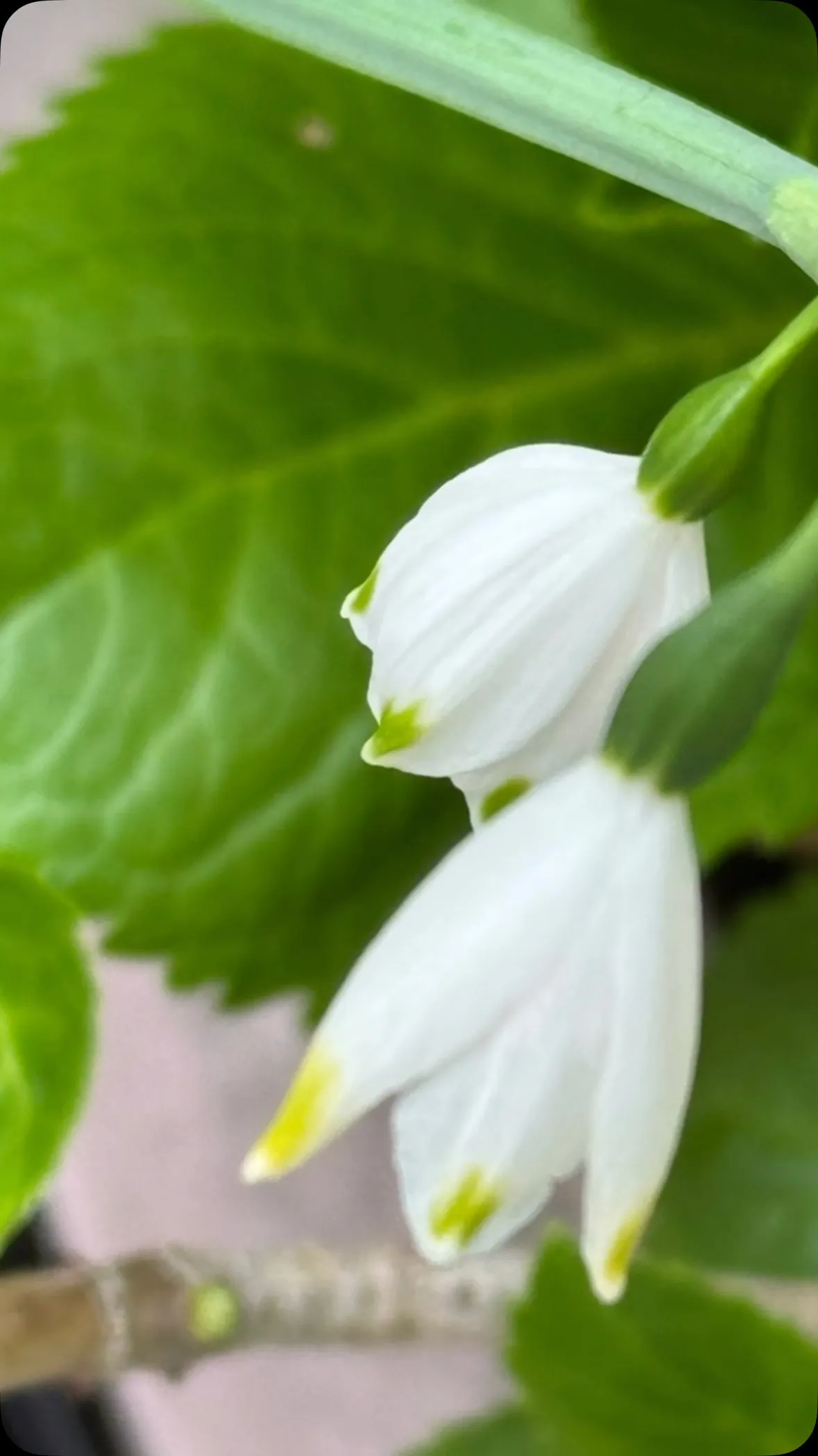 ご来店ありがとうございます😊