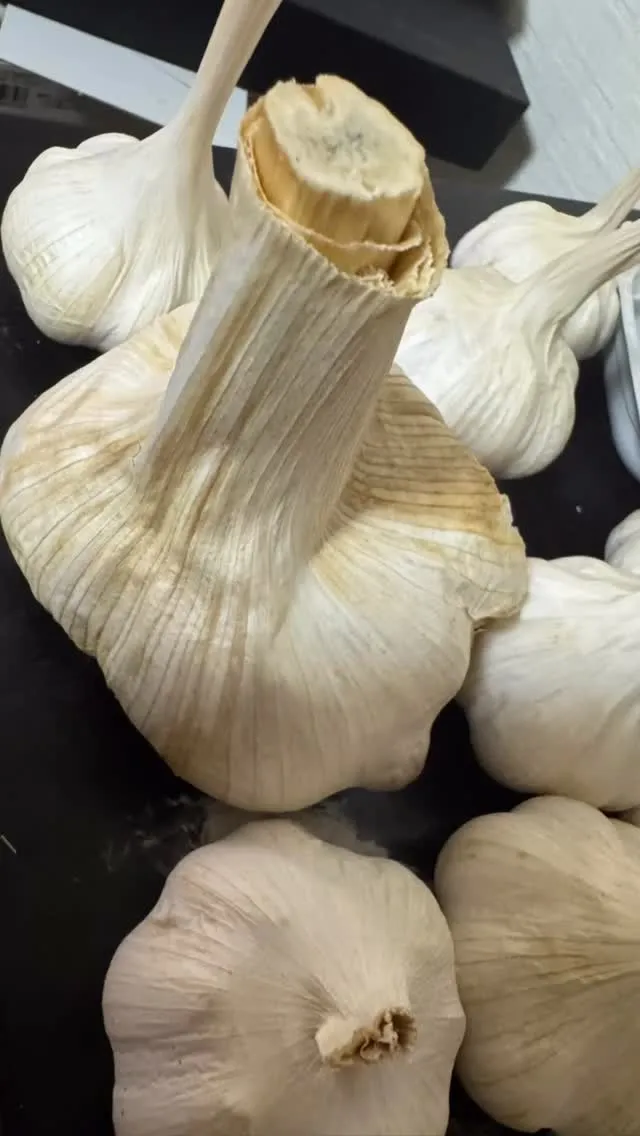 しっかりと食べてますか？