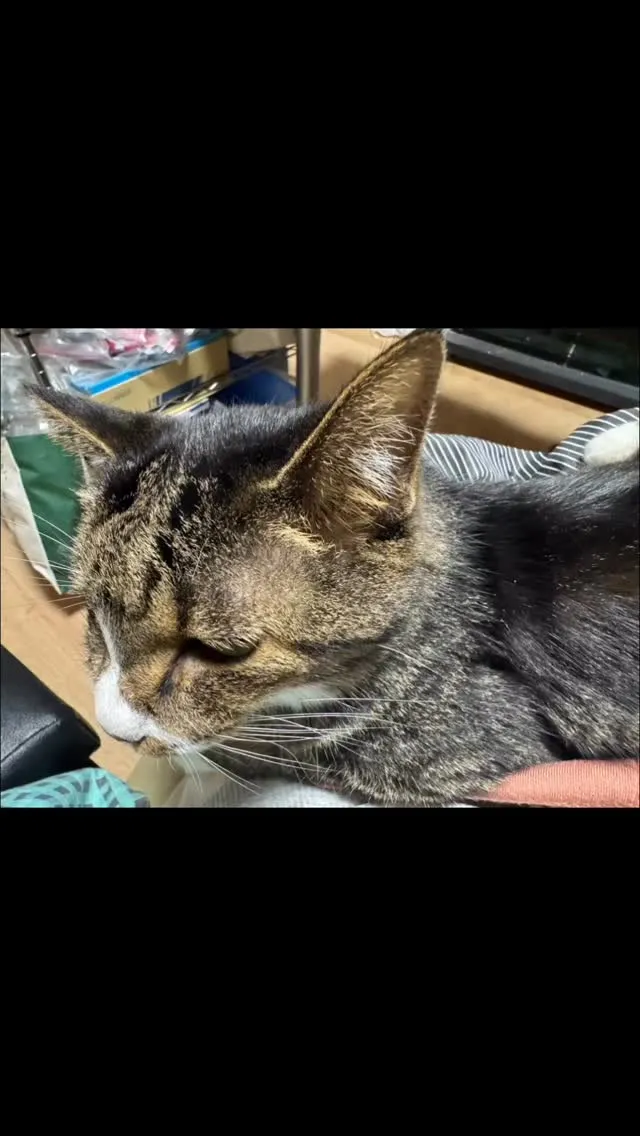 本日はセンビルマーケット🩷