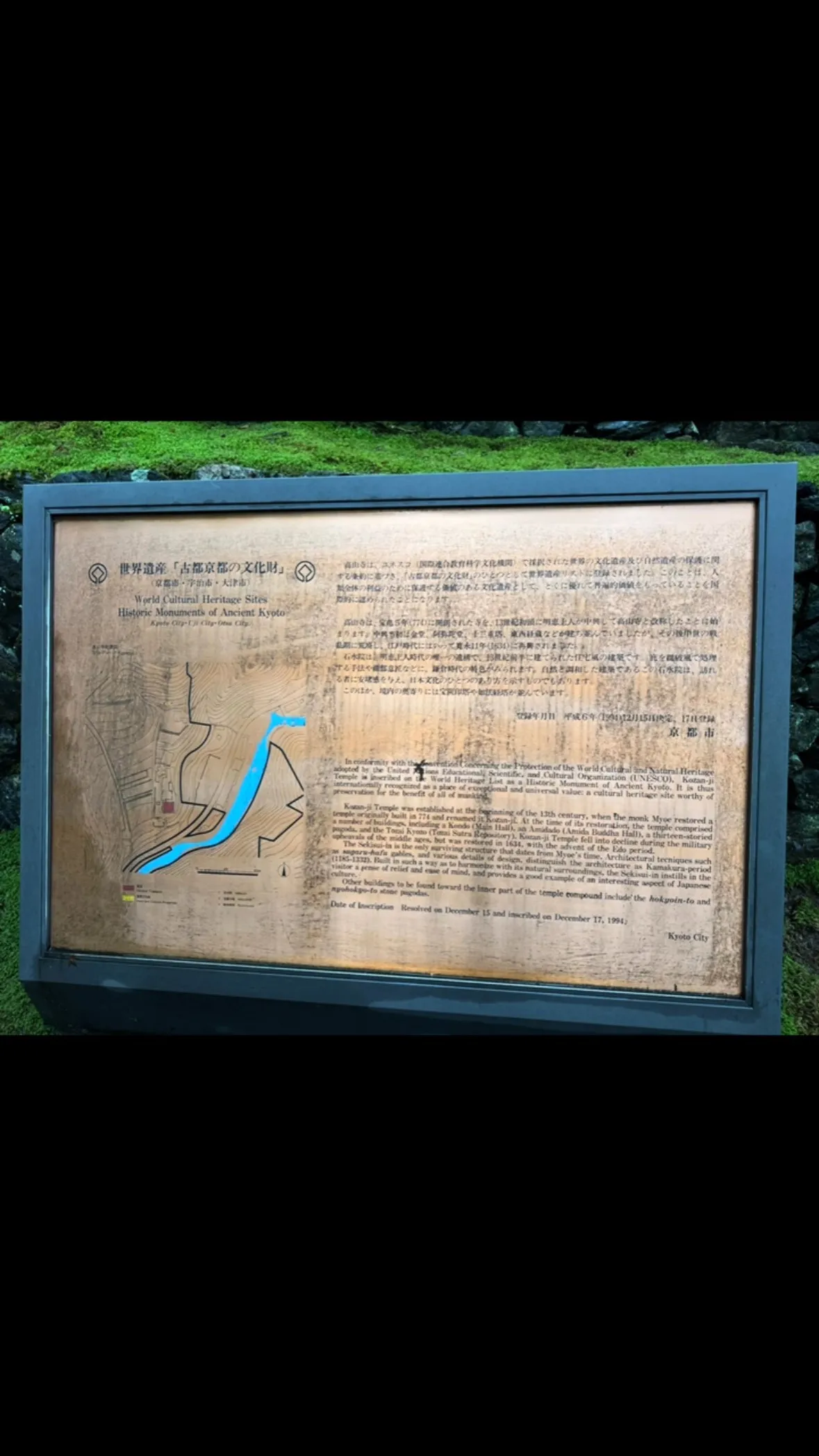 歩けると思った💦💦