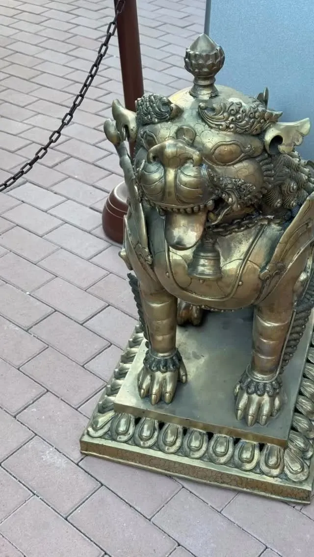 久しぶりに歩きました😂