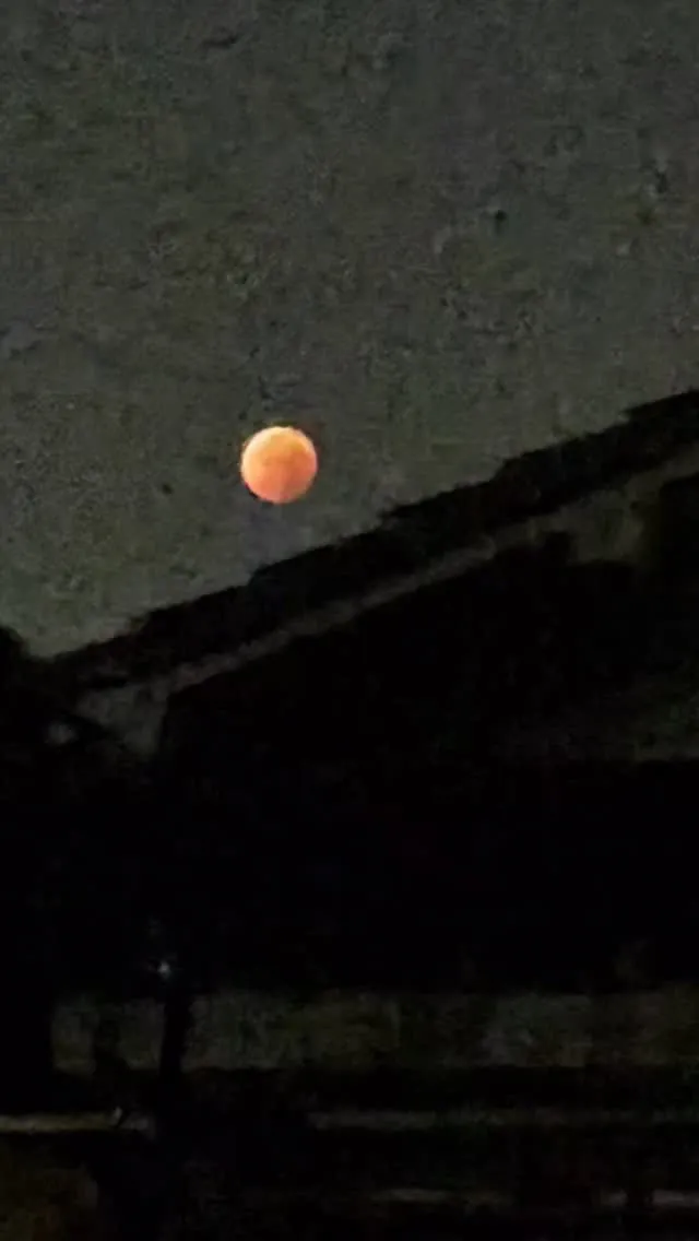 皆既月食観れました😊