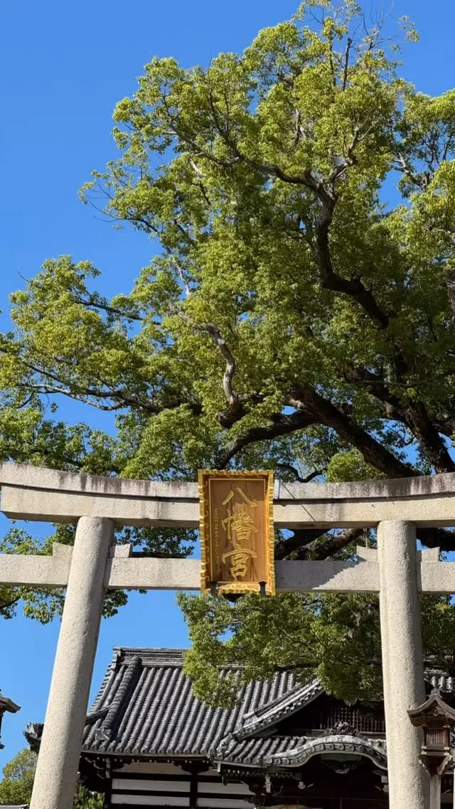 百舌八幡宮参拝