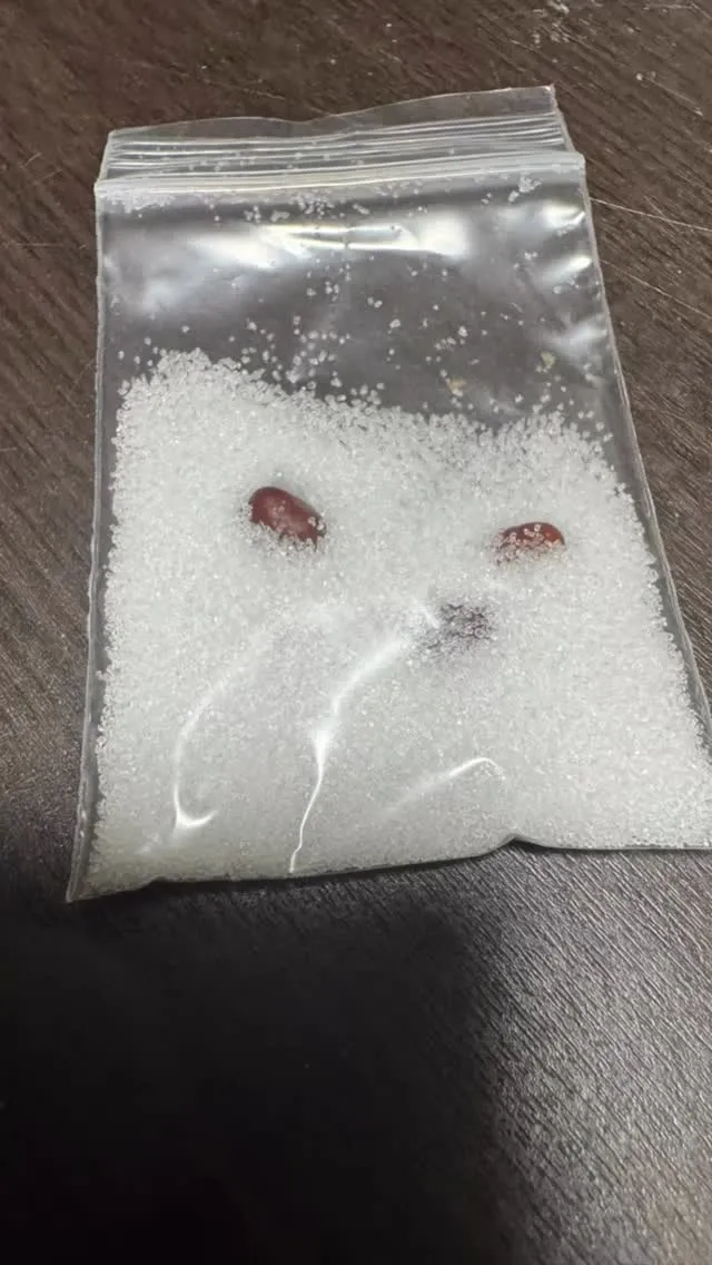 目に見えるお守りを持ちませんか？