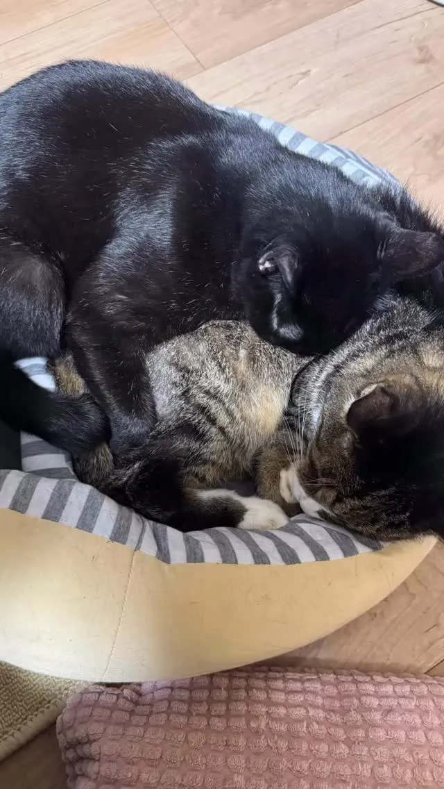 今朝も暖房の前で❤️❤️❤️